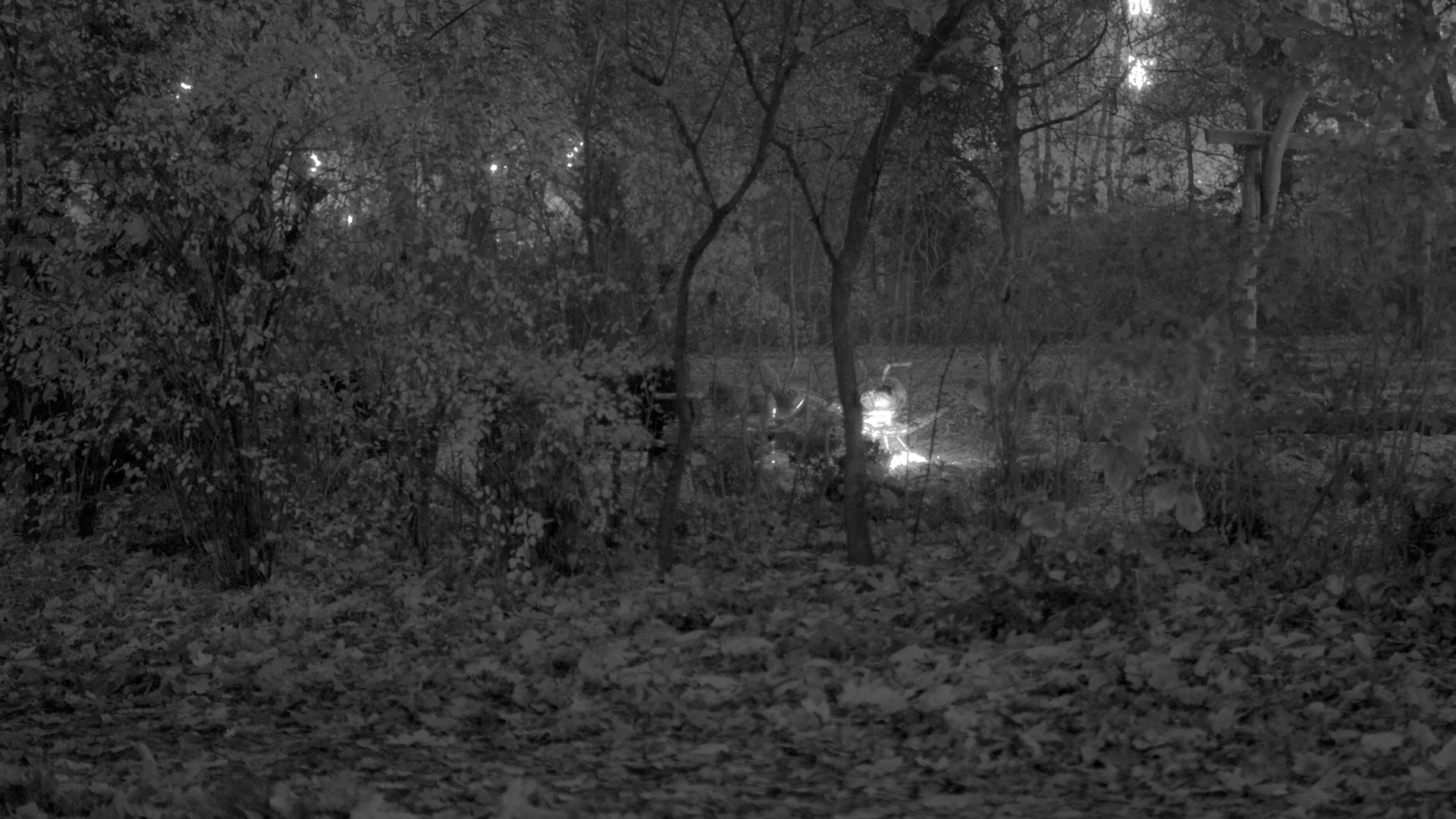HR-Stamenov, Ambiguous Activities, 2011, light intervention, public space, Berlin